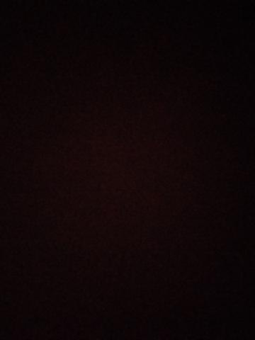 Индивидуалка Яна Фотография 2